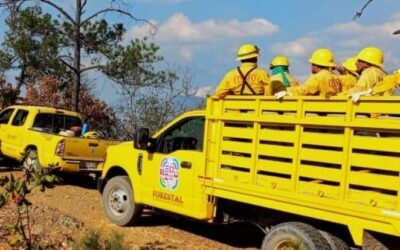 Atiende la Coesfo dos incendios forestales en Oaxaca