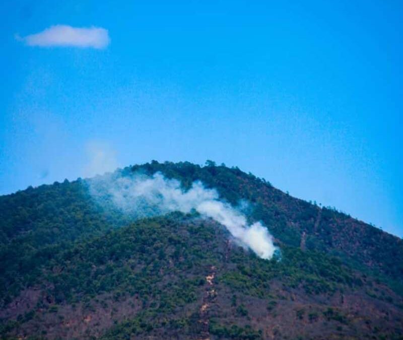 Atienden incendio en San Juan Bautista Guelache