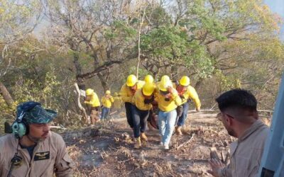 Brigada de Coesfo atiende incendio en San Miguel Chimalapa
