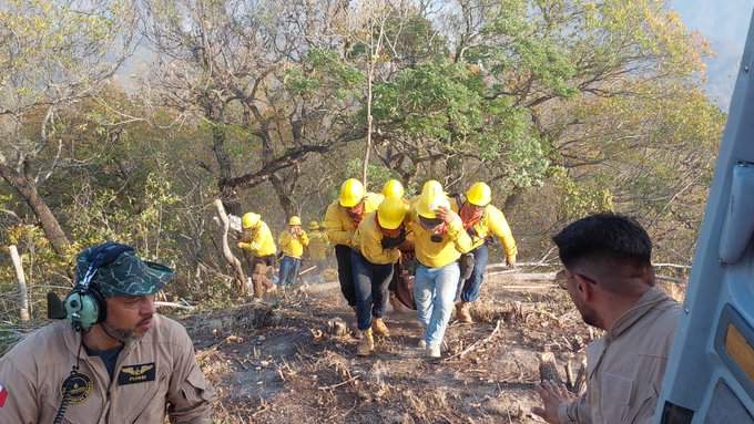 brigada-de-coesfo-atiende-incendio-en-san-miguel-chimalapa