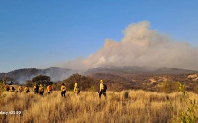 Controlan incendio forestal en la Mixteca