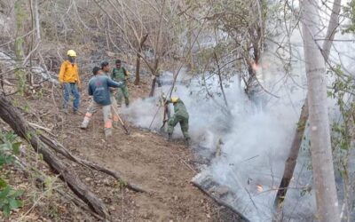 Emiten recomendaciones para protegerse del humo de incendios forestales