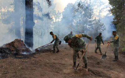 Incendio en Asunción Mixtepec ha dejado una persona desaparecida