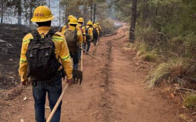 Liquida Coesfo incendios en Sierra Sur y Sierra de Juárez