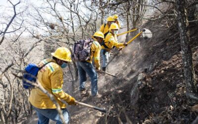 Liquidado incendio en San Dionisio Ocotepec