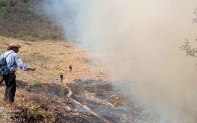 Más de 300 personas trabajan para sofocar el incendio en la Sierra de Flores Magón