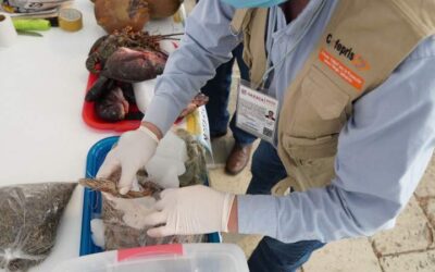 Operativo Cuaresma Limpia 2024 han realizado 305 visitas de verificación