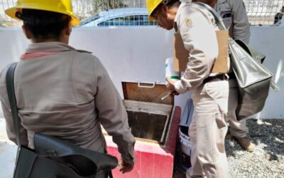 Previenen proliferación del mosquito transmisor de dengue en el Istmo