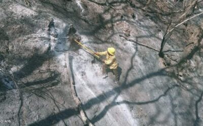 Reporta Gobierno del Estado 90% de control y 50% de liquidación de incendio originado en San Lucas Quiaviní