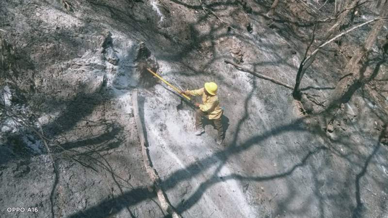 Reporta Gobierno del Estado 90% de control y 50% de liquidación de incendio originado en San Lucas Quiaviní