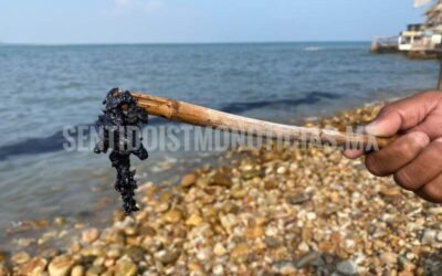 Aparece mancha aceitosa en playa de Salina Cruz