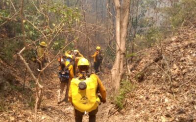 Atiende Coesfo incendio intermunicipal de Santa María Huatulco y San Miguel del Puerto
