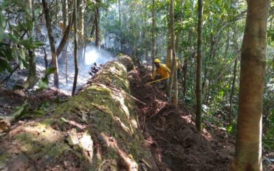 Atiende Coesfo incendios en la Sierra de Flores Magón, Sierra Sur e Istmo