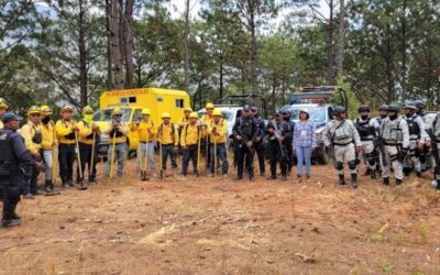 Atienden incendio forestal en Santiago Juxtlahuaca