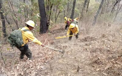 Autoriza Gobierno de México ayuda extraordinaria ante incendios en los Chimalapas