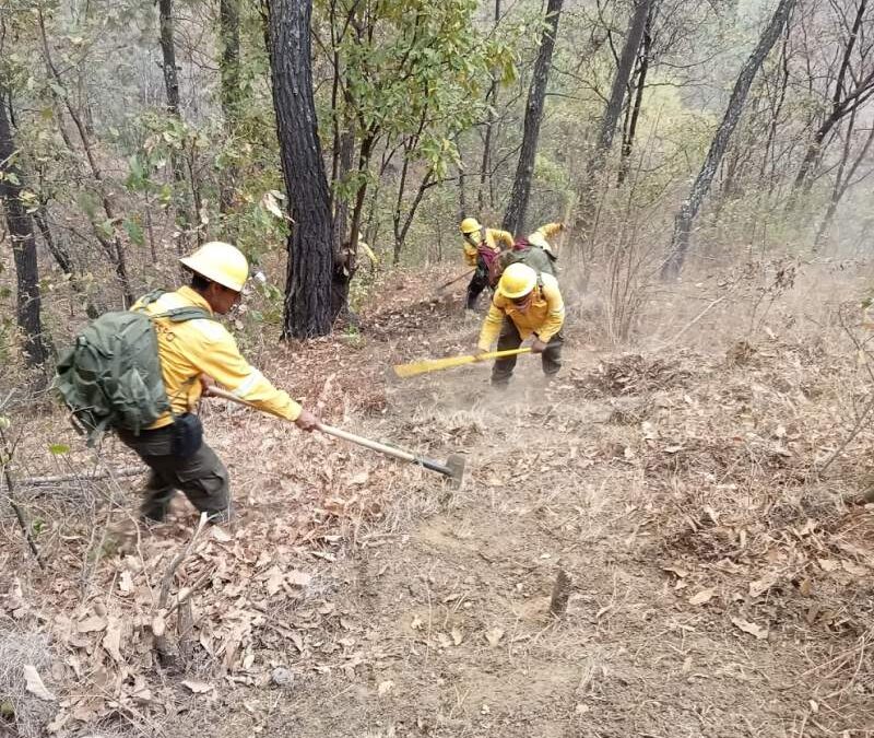 Autoriza Gobierno de México ayuda extraordinaria ante incendios en los Chimalapas