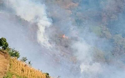 Coesfo atiende reactivación de incendio en San Juan Tepeuxila