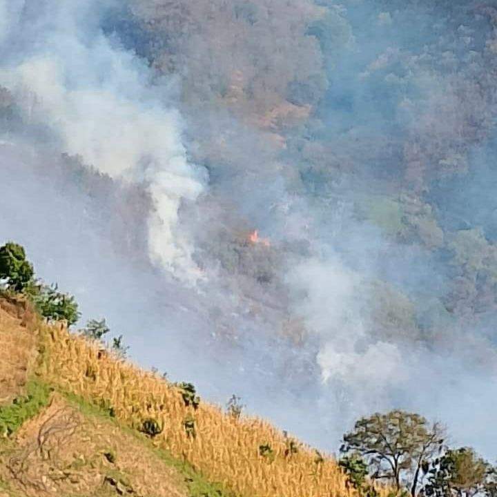 coesfo-atiende-reactivacion-de-incendio-en-san-juan-tepeuxila