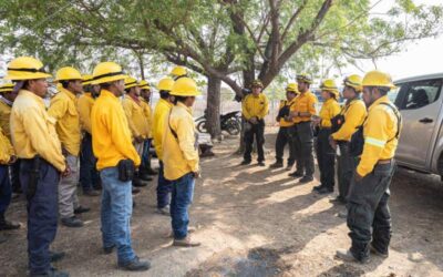 Continúan trabajos de combate terrestres y aéreos en incendios de los Chimalapas