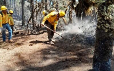 Controlan al 100% incendio en Valles Centrales