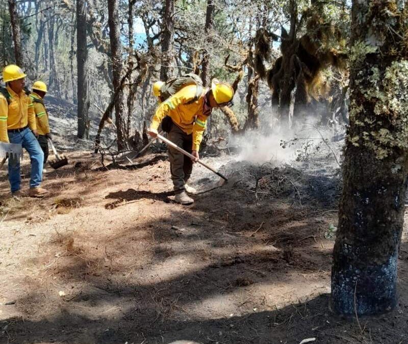 Controlan al 100% incendio en Valles Centrales