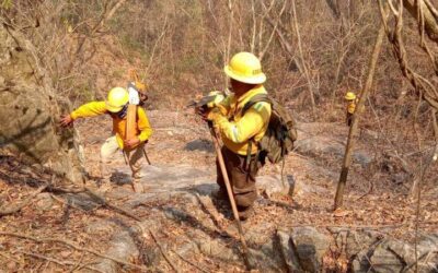 Informa Coesfo control total de incendio en la Costa