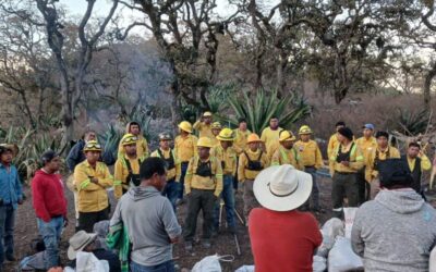 Combaten de manera crucial reactivación de incendio en Tepelmeme Villa de Morelos