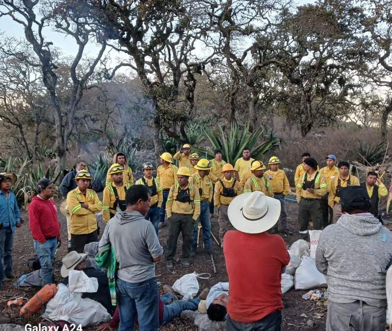 Combaten de manera crucial reactivación de incendio en Tepelmeme Villa de Morelos