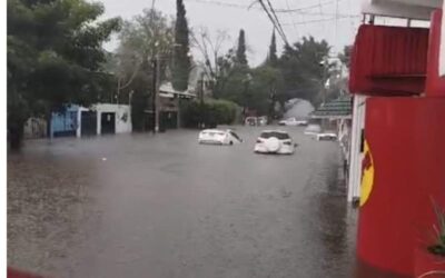 Deja lluvia registrada esta tarde inundaciones, árboles caídos y vehículos varados: Protección Civil