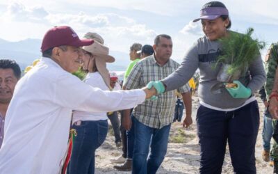 Inicia en nación Chocho Mixteca Mega Tequio de Reforestación Bienestar
