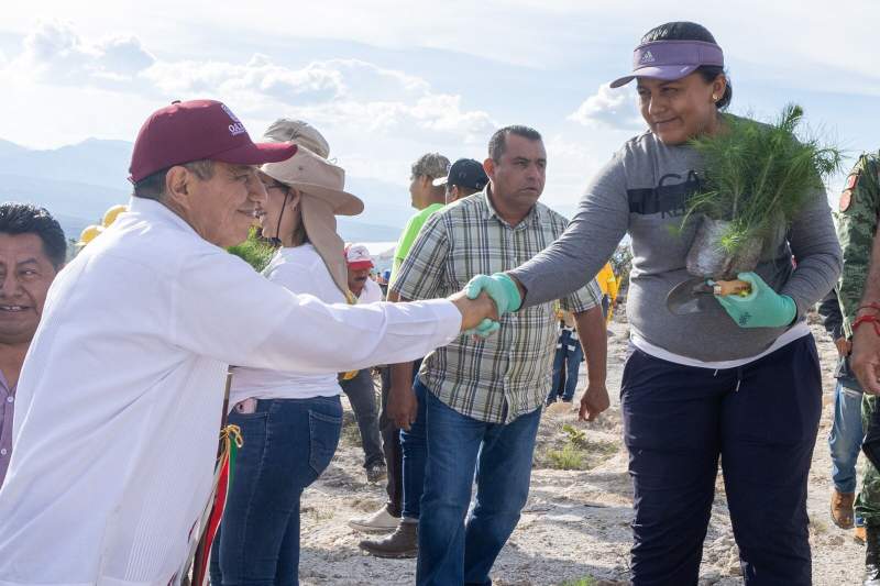 inicia-en-nacion-chocho-mixteca-mega-tequio-de-reforestacion-bienestar