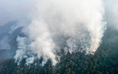 Oaxaca segundo lugar nacional en afectaciones por incendios forestales, reporta Conafor