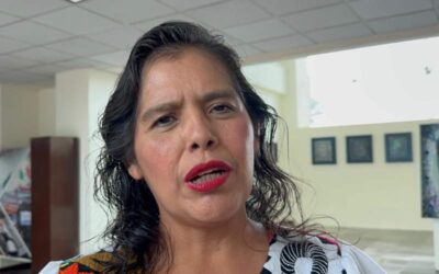 Propone Laura Estrada reforma para impulsar apoyos a personas discapacitadas, indígenas y afromexicanas en materia de vivienda