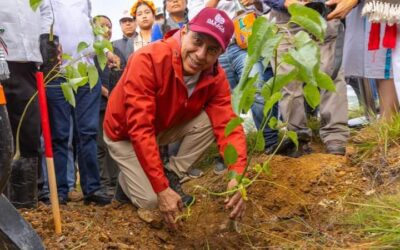 Arranca Mega Tequio de Reforestación en el Polígono de Monte Albán