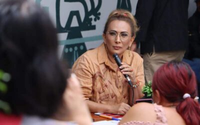 Destaca diputada Concepción Rueda reformas que impulsó en favor de mujeres, comunidades indígenas y migrantes