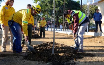 Con Mega Tequio reforestan el Parque Primavera Oaxaqueña previo a su inauguración