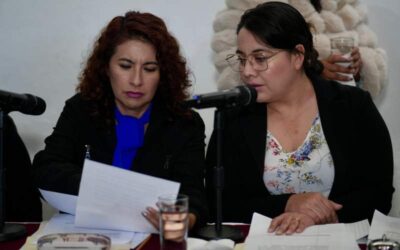 Figura de encargada o encargado de despacho debe ser por un periodo no mayor a 30 días naturales