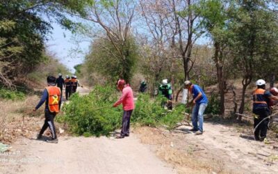 Gobierno de Juchitán mejora acceso en la colonia Tres Lomas