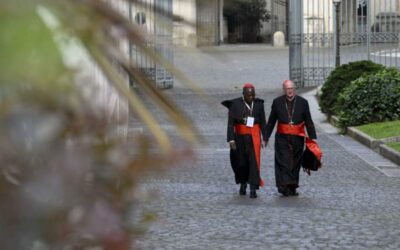 Cardenales se preparan «en armonía» para el cónclave a menos de una semana del inicio