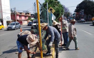 Continúan acciones de mantenimiento urbano en beneficio de las y los capitalinos