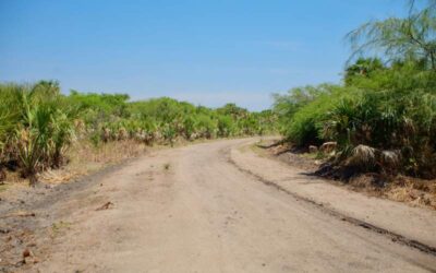 Gestiona Miguel Quetu rehabilitación del camino a «Playa Caracol», para impulsar el desarrollo turístico y social de Ejido Zapata