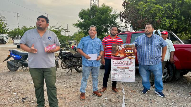 Gobierno Juchiteco refuerza acciones preventivas contra el gusano barrenador del ganado