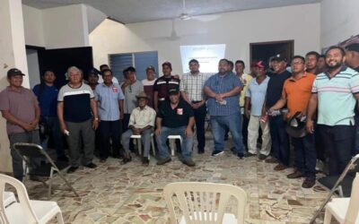 Juchitán activa medidas preventivas para proteger su sector ganadero ante el gusano barrenador