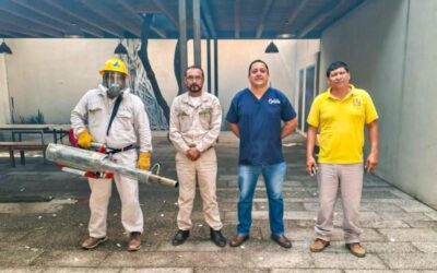 En Juchitán, la prevención no se detiene: más acciones contra enfermedades transmitidas por vector