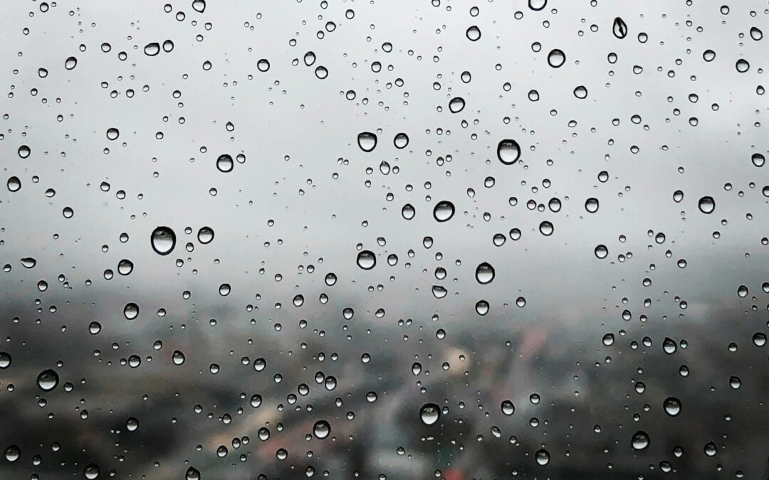 Onda Tropical 3 ocasionará lluvias este 16 de junio: SMN