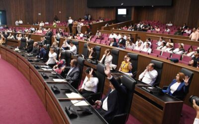 Oaxaca se suma a la lucha contra el maltrato animal: Congreso local aprueba exhorto para su protección