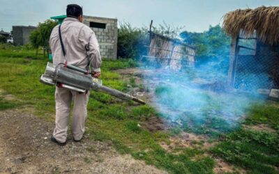 Gobierno de juchitán y jurisdicción sanitaria implementan fumigación preventiva en el panteón «Domingo de Ramos»