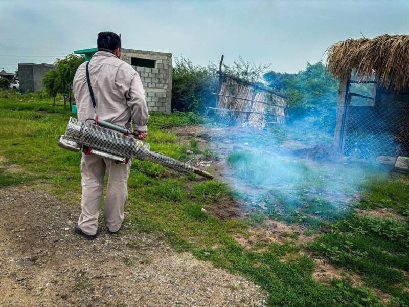 Gobierno de juchitán y jurisdicción sanitaria implementan fumigación preventiva en el panteón «Domingo de Ramos»