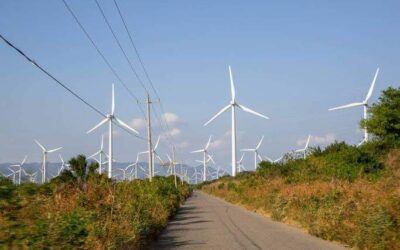 Suspende operaciones parque eólico de EDF en Oaxaca