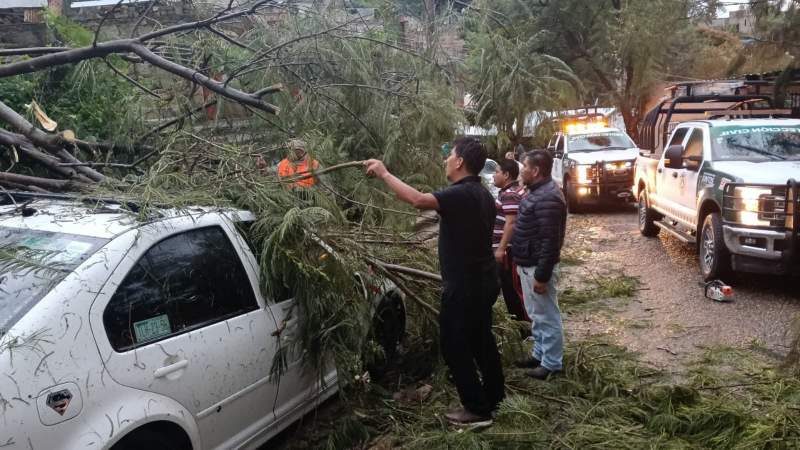 Atienden de inmediato reportes por caída de árboles y encharcamientos en Oaxaca de Juárez